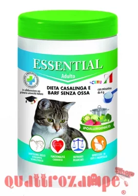 essential_gatto_adult.png