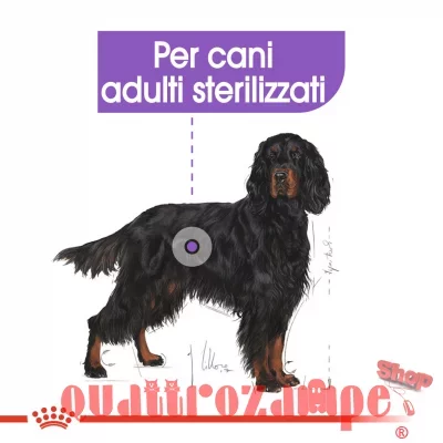 royal-canin-maxi-sterilised-alimento.jpg