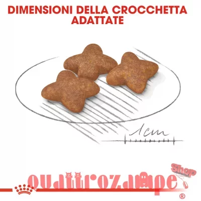 Royal-Canin-Mini-Adult-800-gr-Crocchette-Cane-Taglia-Piccola