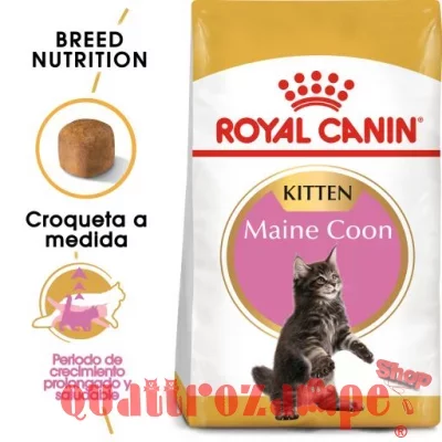 Royal Canin Kitten Maine Coon 10 kg Crocchette Per Gattini