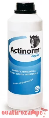 actinorm-equini-polvere-700-grammi.jpg