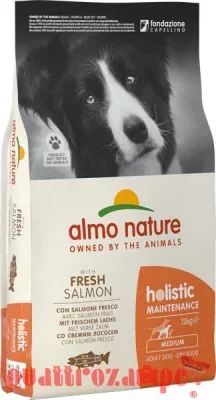 Almo Nature Holistic Adult Large Dog 12 kg Salmone e Riso per Cani