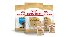 Breed Health Nutrition cani