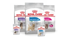 Canine Care Nutrition cani