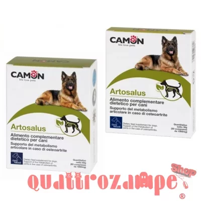 Camon Artosalus Per Cani Supporto Articolare