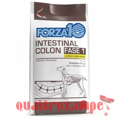 Forza 10 Intestinal Colon Fase 1 Agnello Sorgo 10 kg Per Cani