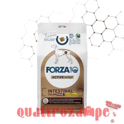 Forza 10 Intestinal Colon Fase 1 Agnello Sorgo 10 kg Per Cani