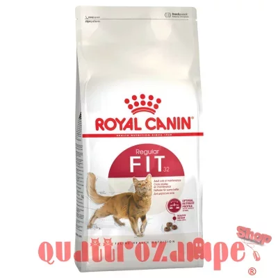 Royal Canin Fit 32 - 10 kg Per Gatti