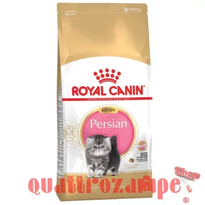 Royal Canin Kitten Persian 10 kg Per Gattini Persiani