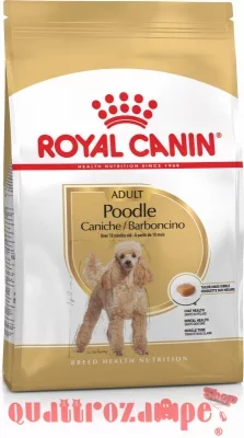 royal canin poodle adult barboncino