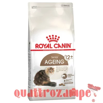 royal_canin_ageing_senior__12.jpeg