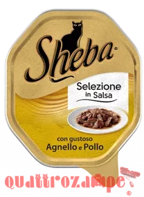 seleczione-in-salsa-agnello-e.png